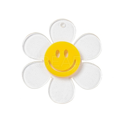 Transparent Acrylic Big Pendants OACR-P012-AM-1