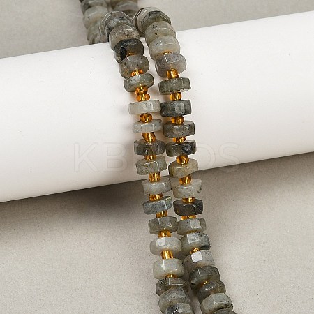 Natural Labradorite Beads Strands G-F796-A05-01-1