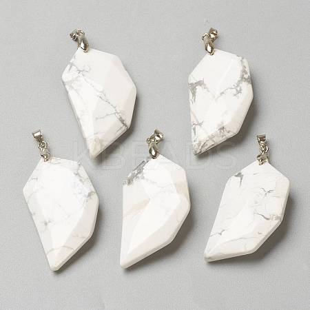 Natural Howlite Pendants G-P445-D05-1