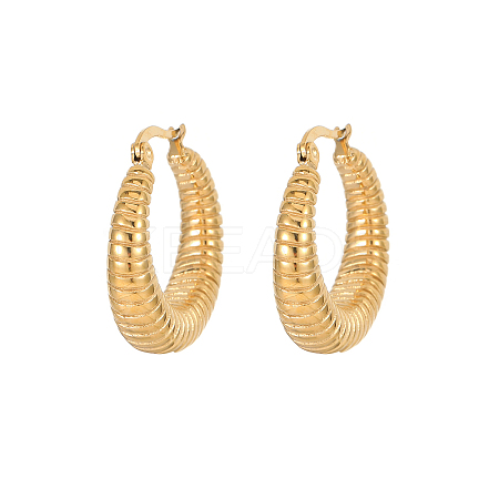 Elegant European Style 304 Stainless Steel Gold-Plated Women's Earrings WS1374-9-1
