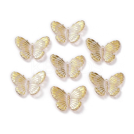 Transparent Acrylic Pendants TACR-A004-05A-02-1
