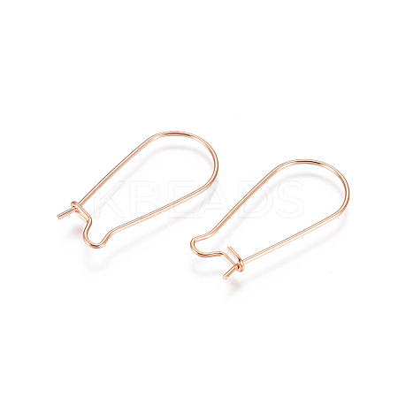 304 Stainless Steel Hoop Earring Findings LS-STAS-E484-66B-RG-1