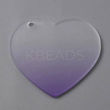 Gradient Transparent Acrylic Disc Big Pendants LS-FIND-WH0032-54E-1