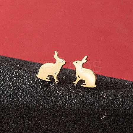 Stainless Steel Stud Earrings for Women PW-WGFE412-05-1