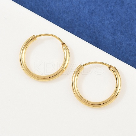 Brass Hoop Earrings EJEW-F378-02G-1
