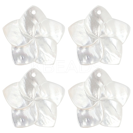 4Pcs Natural White Shell Mother of Pearl Shell Pendants SSHEL-YW0001-10-1