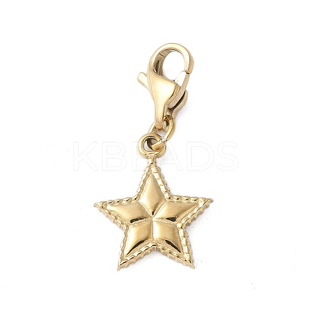 304 Stainless Steel Star Pendant Decoration STAS-S165-08G-1