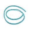 Natural Howlite Beads Strands TURQ-K005-01B-3