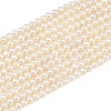 Natural Cultured Freshwater Pearl Beads Strands PA-CBAFEE8-03-2
