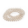 Transparent Electroplate Glass Beads Strands EGLA-F151-PL04-2