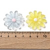 Transparent Resin Cabochons CRES-I046-04-4