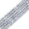 Natural Labradorite Beads Strands G-P457-B01-19-1