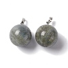 Natural Labradorite Pendants G-G926-02P-07-2