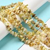 Natural Yellow Opal Chip Beads Strands G-G905-15-2