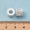 Rack Plating Brass Micro Pave Cubic Zirconia European Beads KK-F866-09S-4