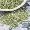 MIYUKI Delica Beads LS-X-SEED-J020-DB1815-1