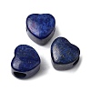 Dyed Natural Lapis Lazuli European Beads G-C269-01L-1