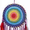 Native Style Iron Ring Woven Net/Web with Feather Wall Hanging Decoration LS-HJEW-A001-09-2