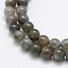 Natural Labradorite Beads Strands G-P322-31-6mm-3