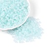 Frosted Glass Seed Beads SEED-N012-01C-1