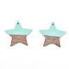 Resin & Walnut Wood Pendants RESI-T023-23C-2