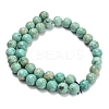 Natural Peruvian Turquoise(Jasper) Beads Strands G-L642-B08-10mm-3