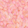 Frosted Glass Seed Beads SEED-N008-05B-3