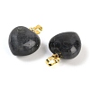 Natural Labradorite Pendants G-J386-H15-G-2