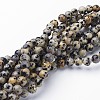 Natural Dalmatian Jasper Beads Strands GSR6mmC004-2