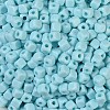 Opaque Acrylic Beads OACR-B025-06G-3