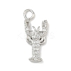 Brass Micro Pave Clear Cubic Zirconia Pendants KK-H528-04B-P-1