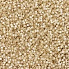MIYUKI Delica Beads SEED-X0054-DB0621-3