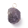 Natural Gemstone Pendants PALLOY-JF01389-01-2