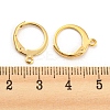 304 Stainless Steel Leverback Earring Findings STAS-D448-041G-3