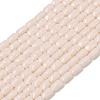 Opaque Glass Beads Strands GLAA-Z018-D18-1