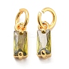 Brass Micro Pave Cubic Zirconia Charms ZIRC-F111-03G-09-1