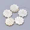 Natural Freshwater Shell Beads LS-X-SHEL-T007-02-1