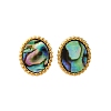 304 Stainless Steel Natural Paua Shell Stud Earrings EJEW-Z103-02G-01-4