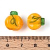 Handmade Lampwork Beads Strands LAMP-T022-16-4