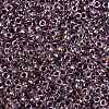 MIYUKI Round Rocailles Beads SEED-JP0010-RR3206-3