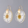 Alloy Resin Dangle Earrings EJEW-JE03560-1