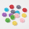 Mixed Resin Flower Cabochons X-CRES-B3259-M-1