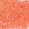 8/0 Transparent Glass Seed Beads SEED-F003-03B-11-3