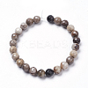 Natural Silver Leaf Jasper Beads Strands X-G-K181-6mm-O01-3