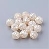 Natural White Shell Beads SSHEL-Q298-12mm-08-1