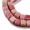 Natural Rhodonite Beads Strands G-C129-A14-01-4