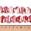 Handmade Lampwork Beads LAMP-N033-01L-4