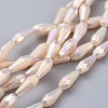 Electroplated Opaque Glass Beads Strands EGLA-L015-FR-B10-1