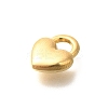 Ion Plating(IP) 304 Stainless Steel Charms STAS-I321-66G-2