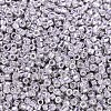 MIYUKI Delica Beads SEED-X0054-DB0429-2